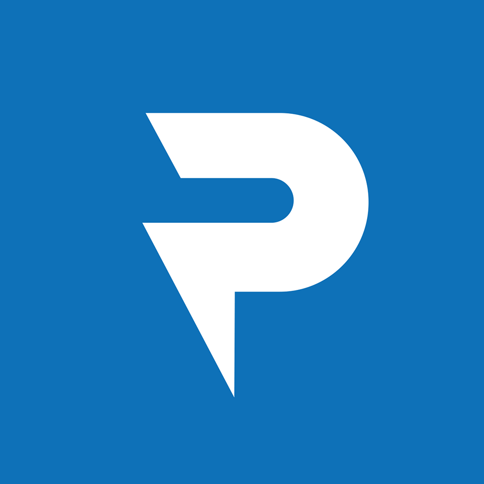 Powerflash Online Solutions - Logo